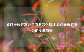 软件定制开发公司商务怎么提成,软件定制开发公司发展前景