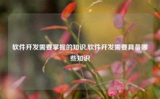 软件开发需要掌握的知识,软件开发需要具备哪些知识