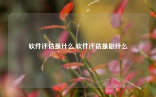 软件评估是什么,软件评估是做什么