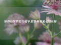 软件开发的公司名字,软件开发的公司名称