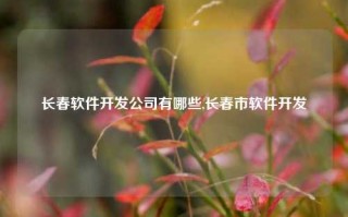 长春软件开发公司有哪些,长春市软件开发