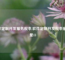 软件定制开发服务税率,软件定制开发税率是6还是13