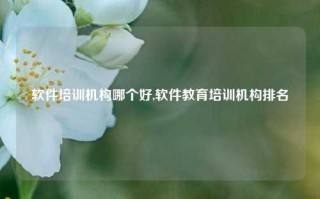 软件培训机构哪个好,软件教育培训机构排名