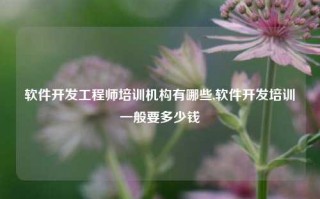 软件开发工程师培训机构有哪些,软件开发培训一般要多少钱