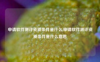 申请软件测评资质条件是什么,申请软件测评资质条件是什么意思