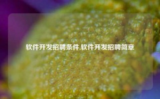 软件开发招聘条件,软件开发招聘简章