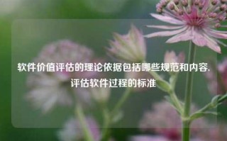 软件价值评估的理论依据包括哪些规范和内容,评估软件过程的标准