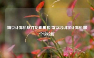 南京计算机软件培训机构,南京培训学计算机哪个学校好