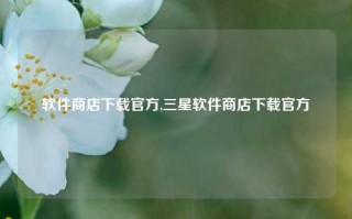 软件商店下载官方,三星软件商店下载官方