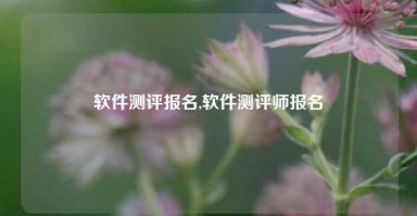 软件测评报名,软件测评师报名