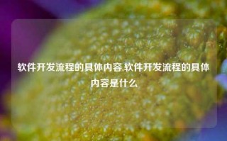 软件开发流程的具体内容,软件开发流程的具体内容是什么