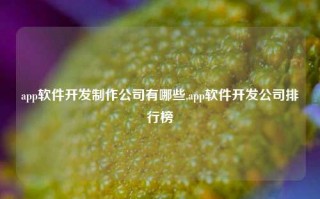 app软件开发制作公司有哪些,app软件开发公司排行榜