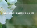 软件外包开发公司有哪些,软件 外包公司