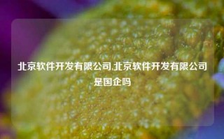 北京软件开发有限公司,北京软件开发有限公司是国企吗