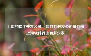 上海的软件开发公司,上海软件开发公司排行榜上海软件行业有多少家