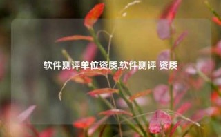 软件测评单位资质,软件测评 资质