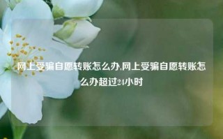 网上受骗自愿转账怎么办,网上受骗自愿转账怎么办超过24小时