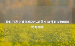 软件开发招聘信息怎么写范文,软件开发招聘网站有哪些