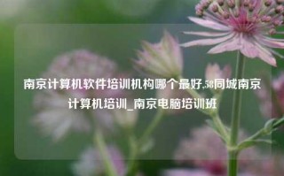 南京计算机软件培训机构哪个最好,58同城南京计算机培训_南京电脑培训班