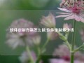 软件定制方案怎么做,软件定制多少钱