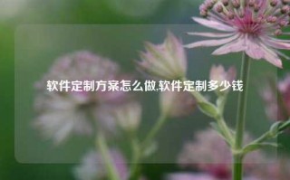 软件定制方案怎么做,软件定制多少钱