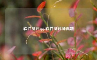 软件测评app,软件测评师真题