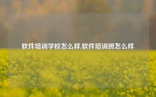 软件培训学校怎么样,软件培训班怎么样