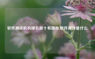 软件测评机构排名前十有哪些,软件测评是什么