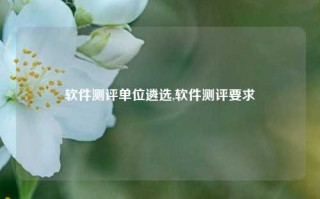 软件测评单位遴选,软件测评要求