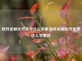 软件定制化开发开什么发票,软件定制化开发开什么发票好