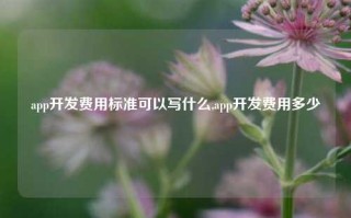 app开发费用标准可以写什么,app开发费用多少