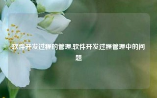 软件开发过程的管理,软件开发过程管理中的问题