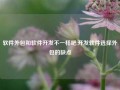 软件外包和软件开发不一样吧,开发软件选择外包的缺点