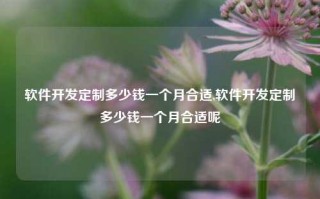 软件开发定制多少钱一个月合适,软件开发定制多少钱一个月合适呢