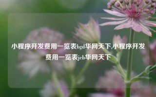 小程序开发费用一览表bgd华网天下,小程序开发费用一览表jeb华网天下