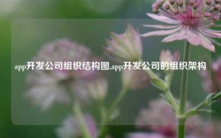 app开发公司组织结构图,app开发公司的组织架构