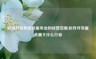 软件开发和信息服务业的经营范围,软件开发服务属于什么行业