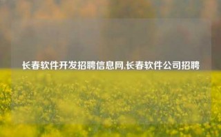 长春软件开发招聘信息网,长春软件公司招聘