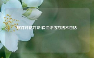 软件评估方法,软件评估方法不包括