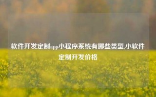 软件开发定制app小程序系统有哪些类型,小软件定制开发价格