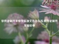 软件定制开发收费标准文件怎么写,软件定制开发报价单