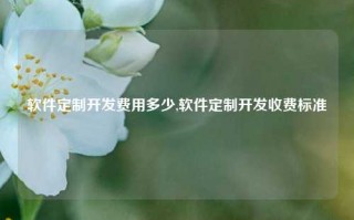 软件定制开发费用多少,软件定制开发收费标准