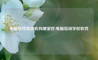 电脑软件培训机构哪家好,电脑培训学校软件