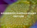 软件定制系统开发工作内容怎么写,软件定制开发是什么意思