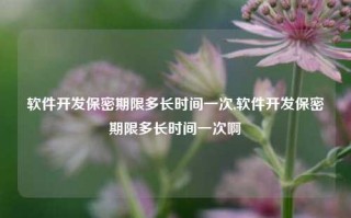 软件开发保密期限多长时间一次,软件开发保密期限多长时间一次啊