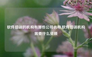 软件培训的机构有哪些公司名称,软件培训机构需要什么资质