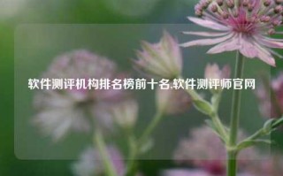 软件测评机构排名榜前十名,软件测评师官网