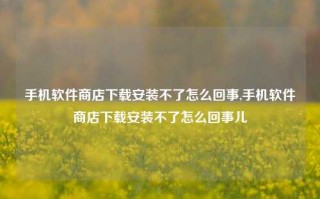 手机软件商店下载安装不了怎么回事,手机软件商店下载安装不了怎么回事儿