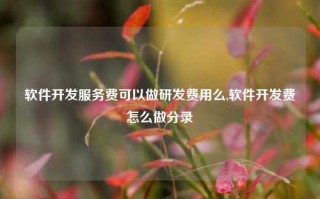 软件开发服务费可以做研发费用么,软件开发费怎么做分录