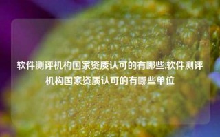 软件测评机构国家资质认可的有哪些,软件测评机构国家资质认可的有哪些单位